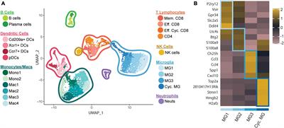 Microglia influence immune responses and restrict neurologic disease in response to central nervous system infection by a neurotropic murine coronavirus